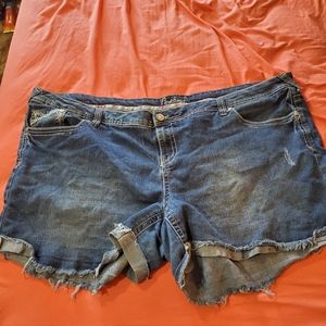 Plus sized jean shorts